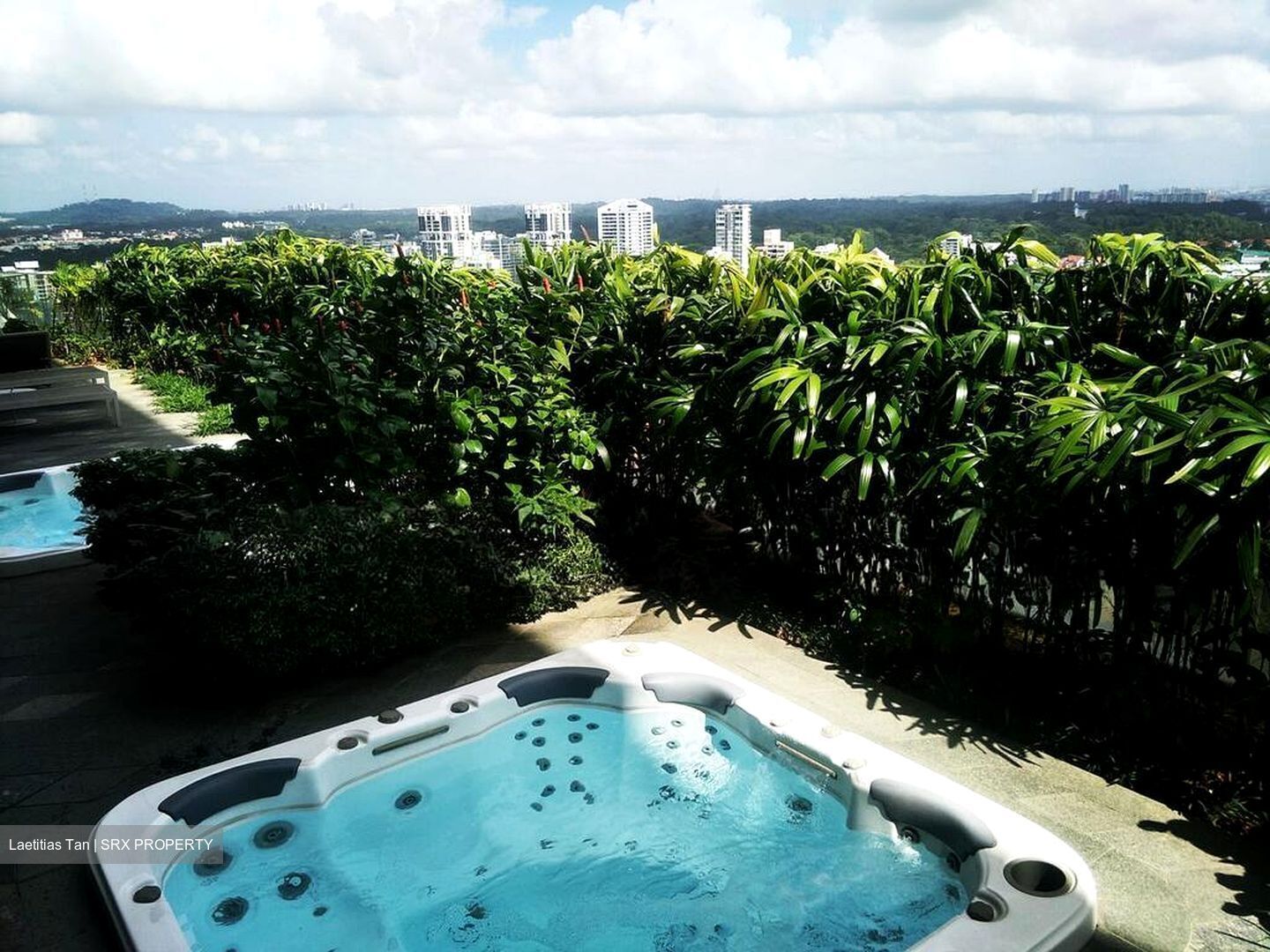 The Scotts Tower (D9), Condominium #503940011